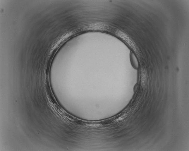 X0000081600482200702121553