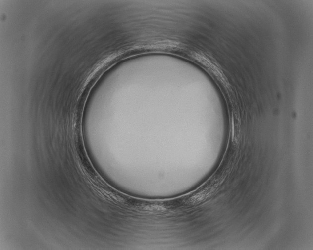 X0000081600483200702121553