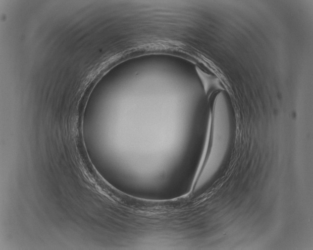 X0000081600485200702121553