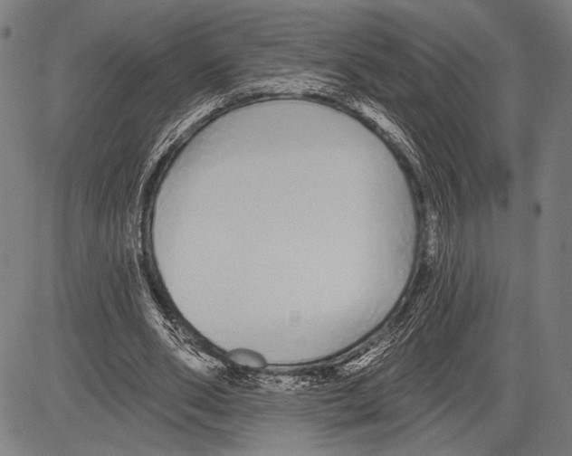 X0000081600486200702121553