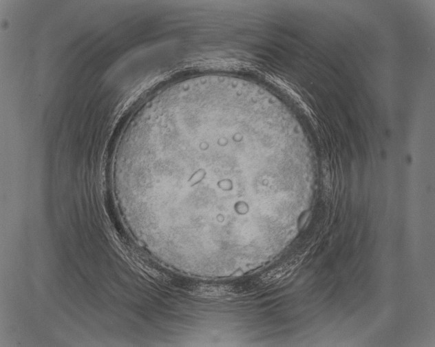 X0000081600487200702121553