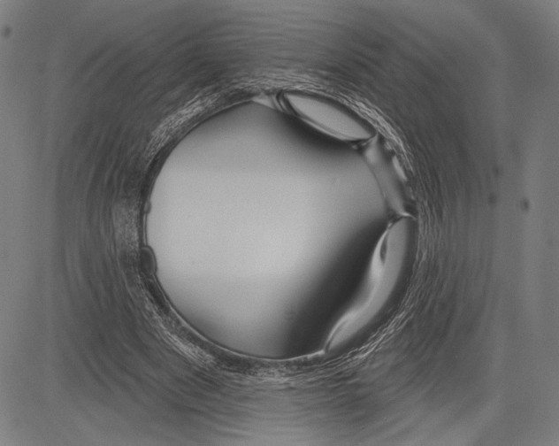 X0000081600489200702121553