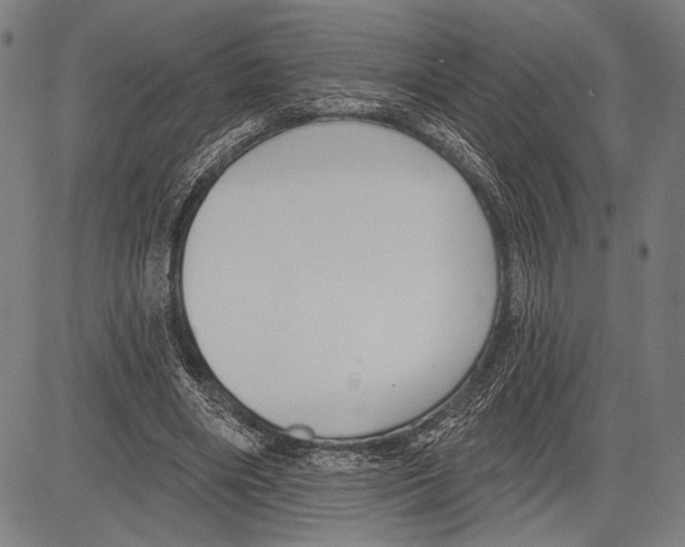 X0000081600490200702121553