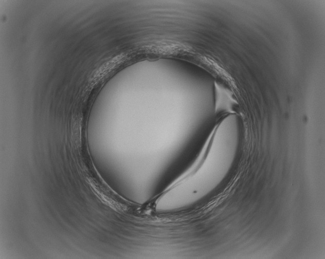 X0000081600493200702121553