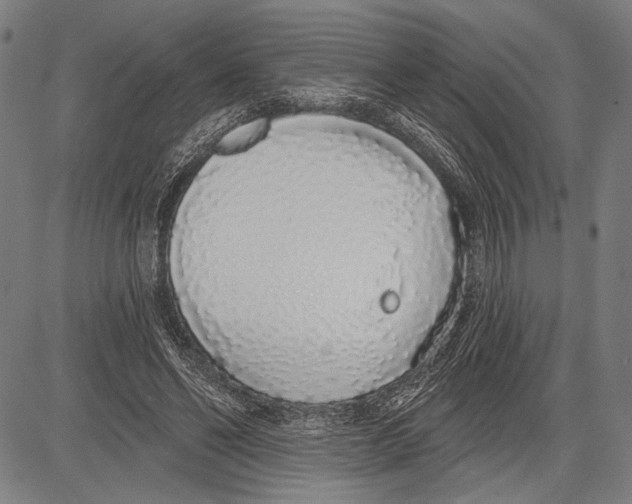 X0000081600494200702121553