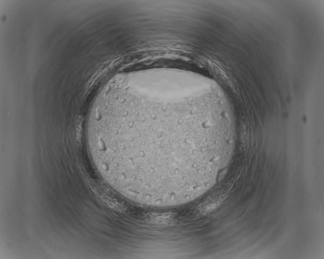 X0000081600495200702121553