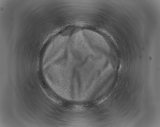 X0000081600496200702121553