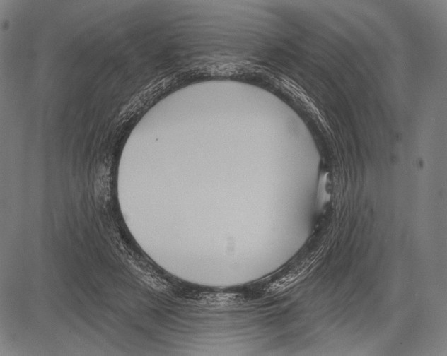 X0000081600497200702121553