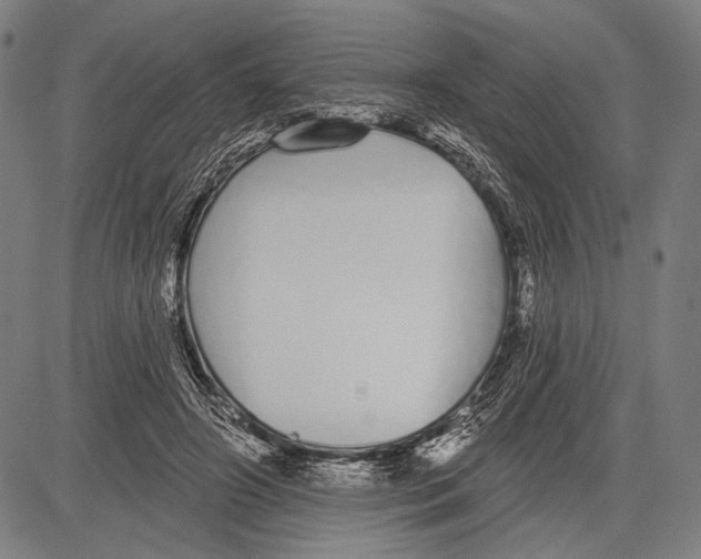 X0000081600498200702121553