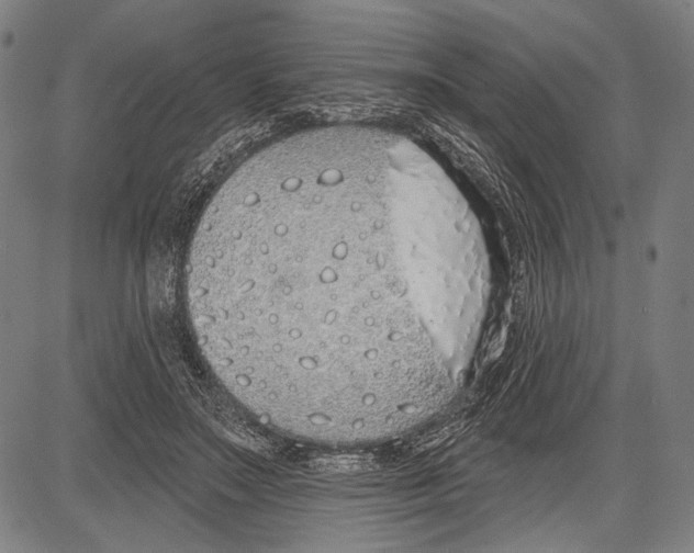 X0000081600499200702121553