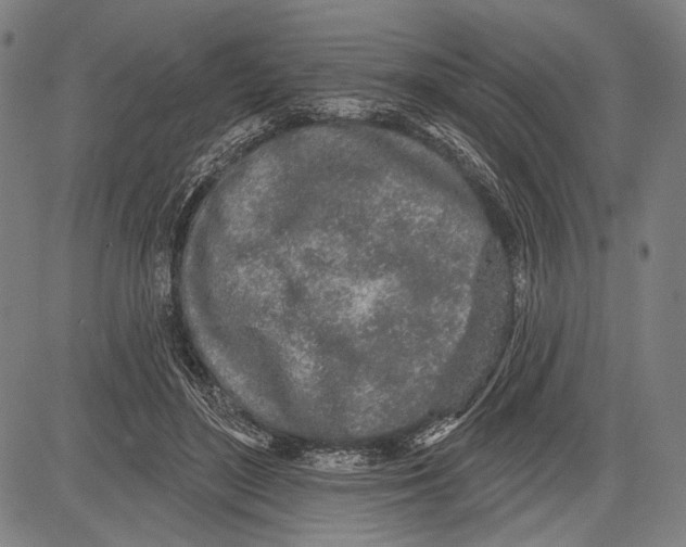 X0000081600500200702121553