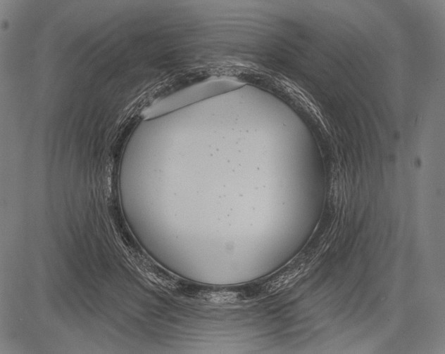 X0000081600501200702121553