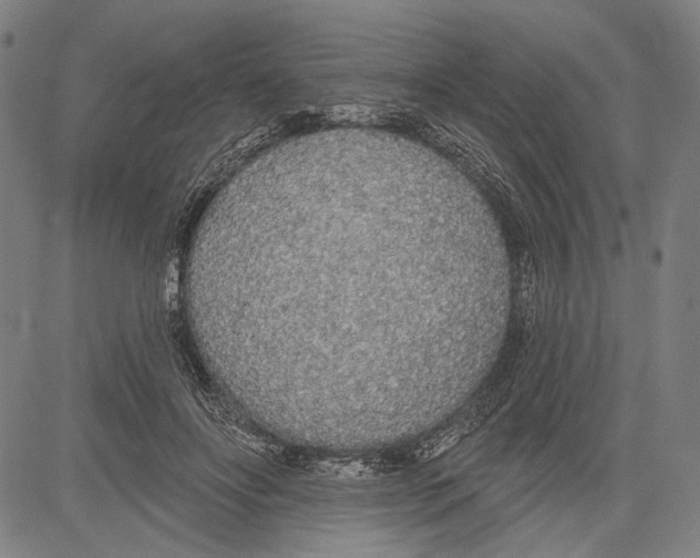 X0000081600502200702121553