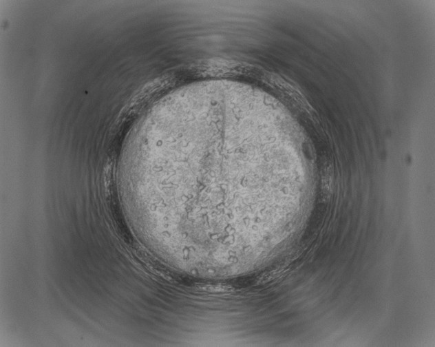 X0000081600503200702121553