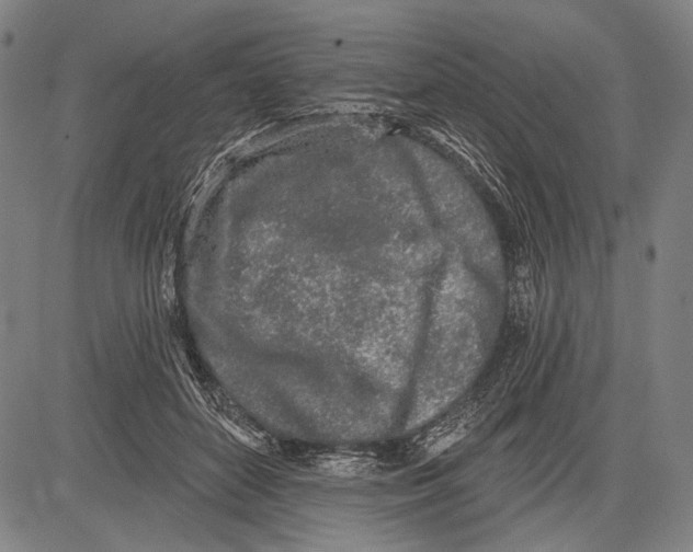 X0000081600504200702121553