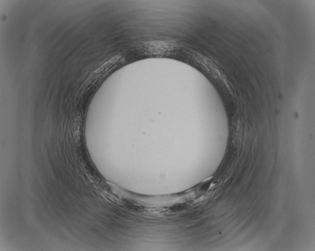 X0000081600505200702121553