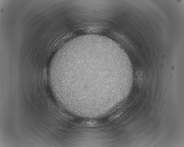 X0000081600506200702121553