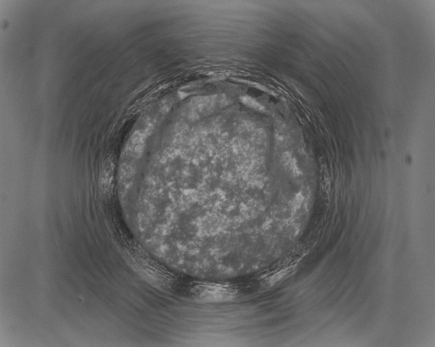 X0000081600507200702121553