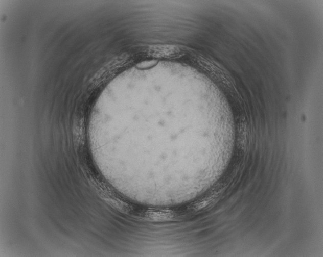 X0000081600510200702121553