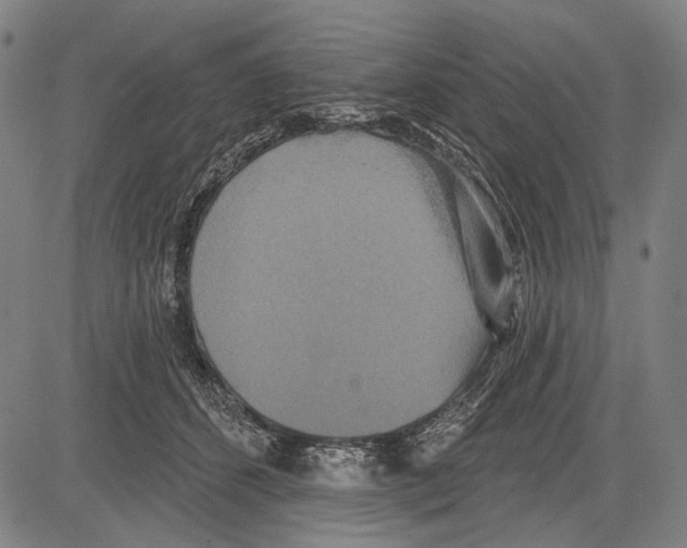 X0000081600512200702121553