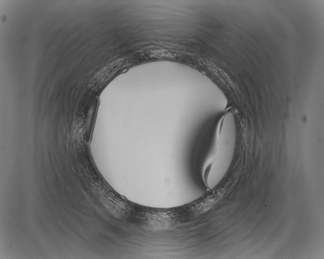 X0000081600513200702121552