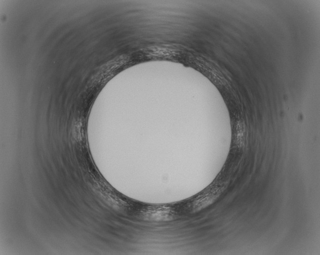 X0000081600514200702121552