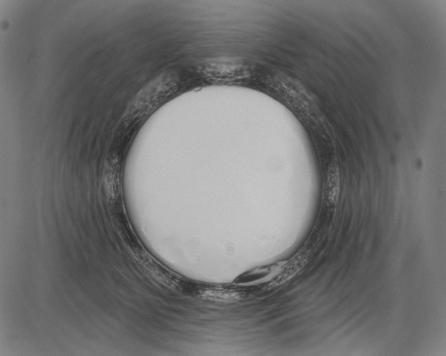 X0000081600515200702121552