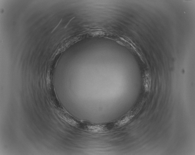 X0000081600516200702121552