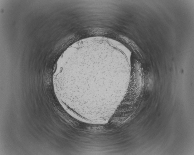 X0000081600517200702121552