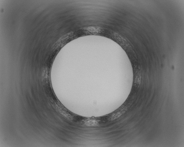 X0000081600518200702121552