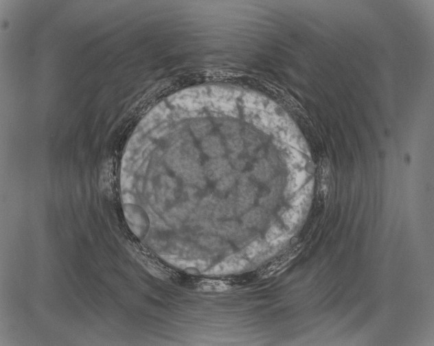 X0000081600519200702121552