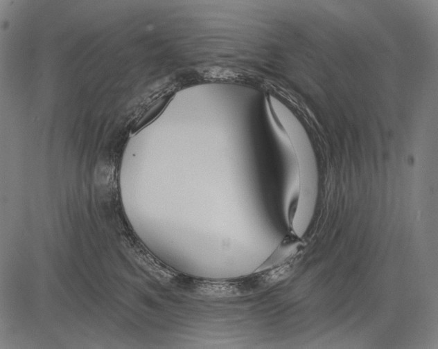 X0000081600521200702121552