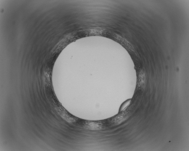 X0000081600522200702121552