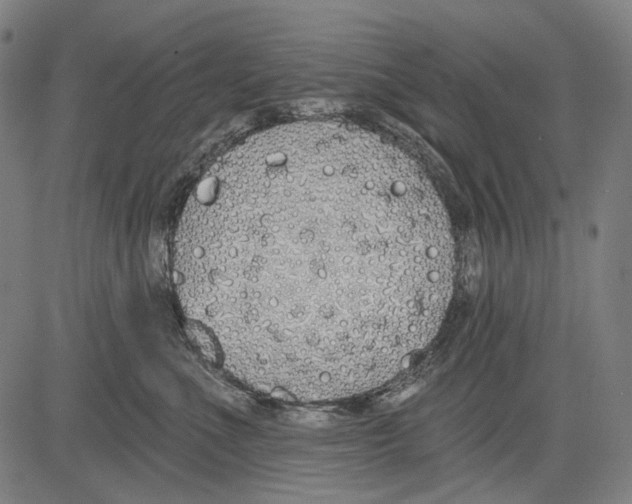 X0000081600523200702121552