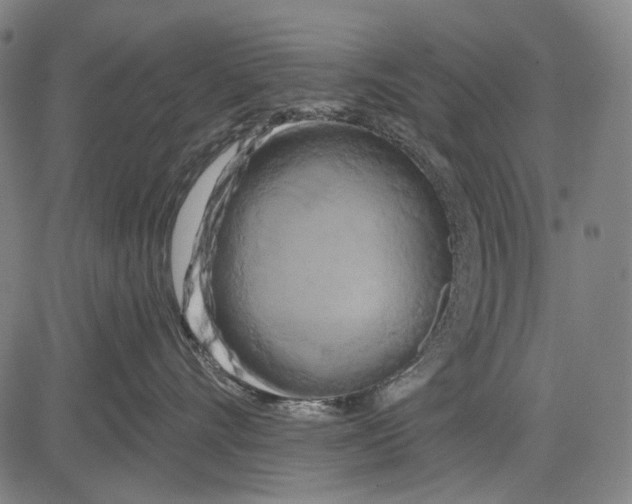 X0000081600528200702121552