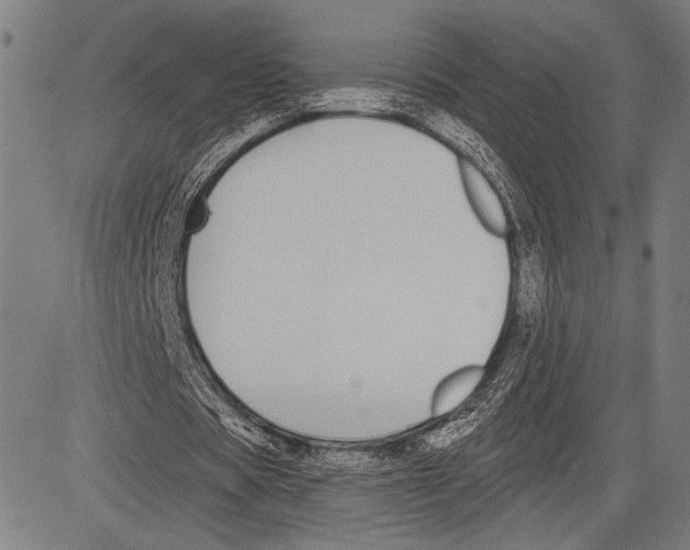 X0000081600529200702121551