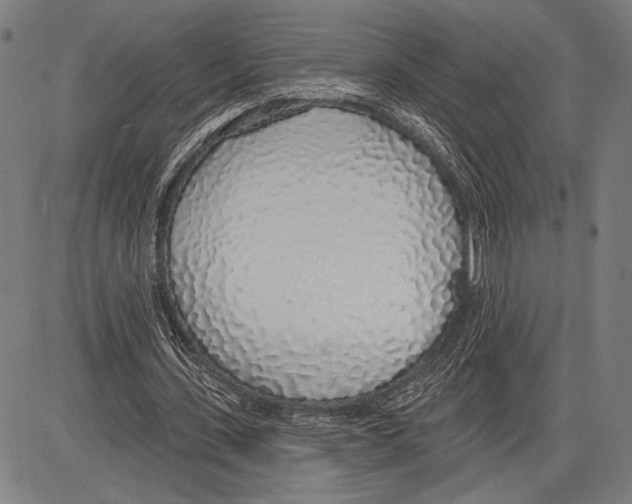 X0000081600531200702121551