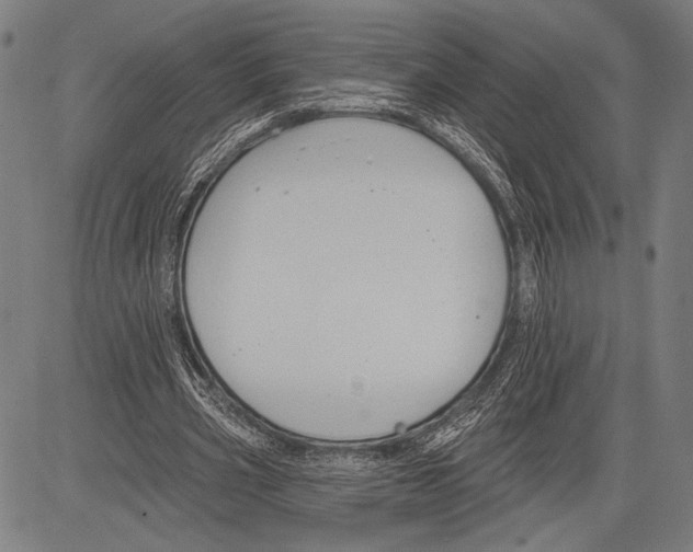 X0000081600533200702121552