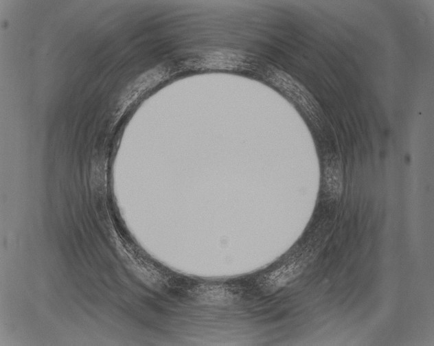 X0000081600534200702121552