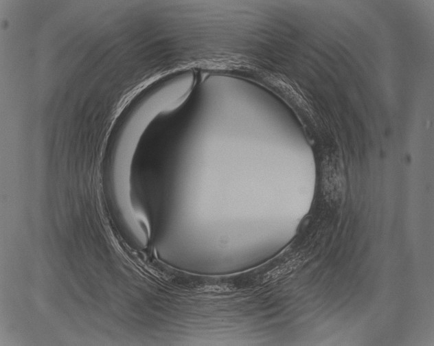 X0000081600536200702121552