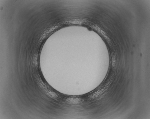 X0000081600537200702121552