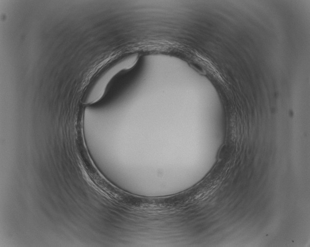 X0000081600538200702121552