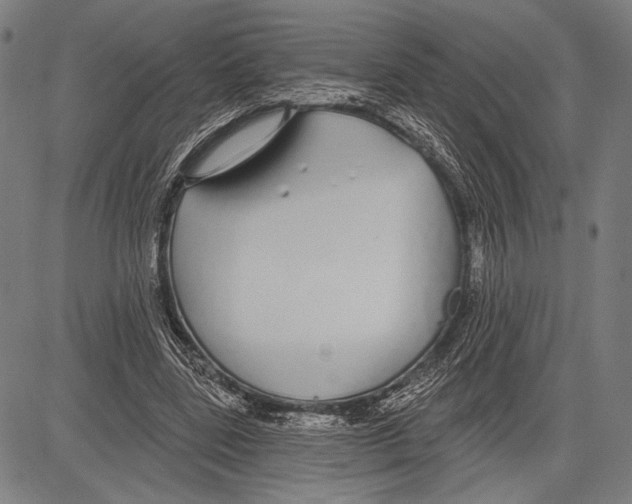 X0000081600539200702121552