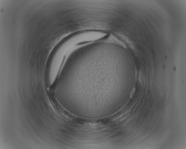 X0000081600540200702121552