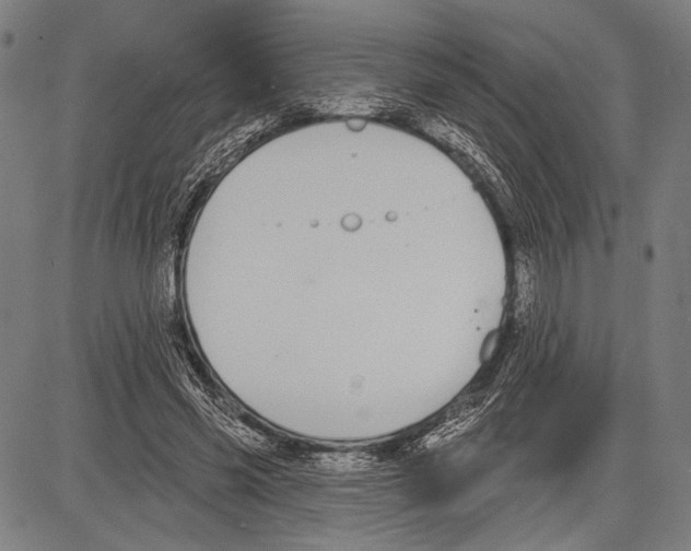 X0000081600541200702121552