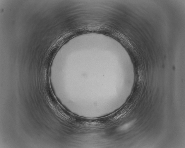 X0000081600542200702121552