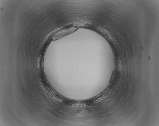 X0000081600543200702121552