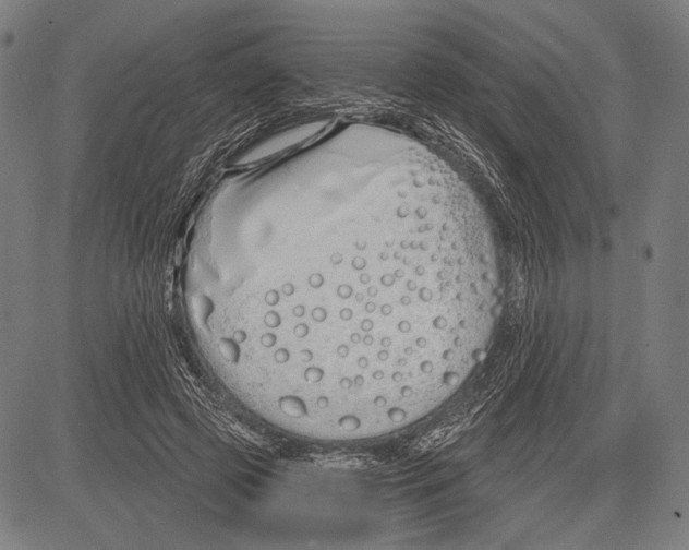 X0000081600545200702121552