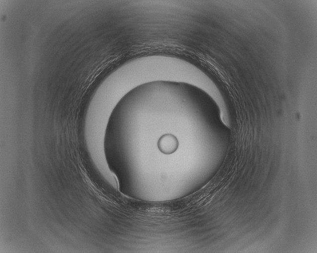 X0000081600546200702121552