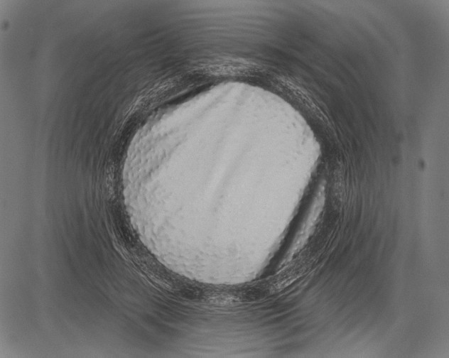 X0000081600547200702121552